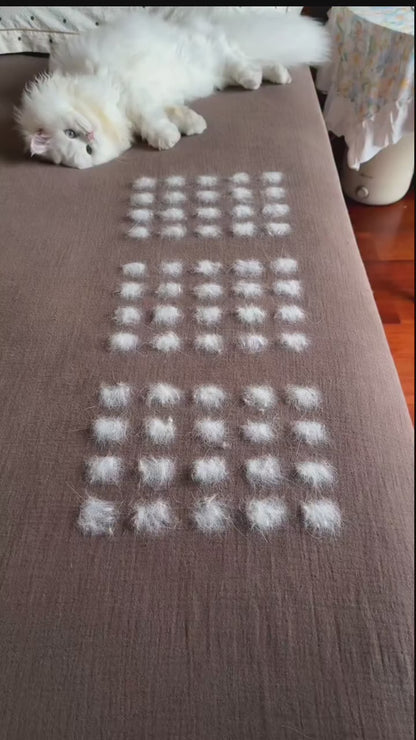 Guante Quita Pelos